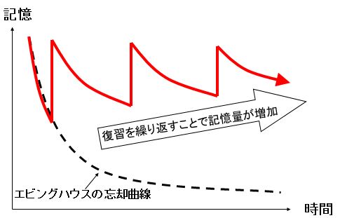 資格の取得と活用・忘却曲線と復習の効果|幸せなサラリーマン講座